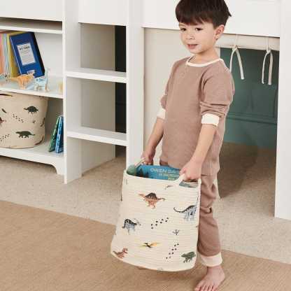 Woven Storage Basket, Dinosaur Explorer